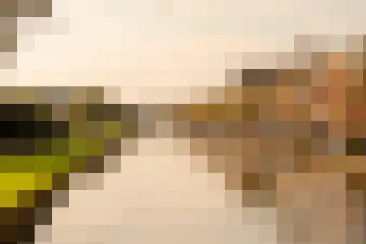 Albert Luthulistraat 15 A Amsterdam thumbnail 25