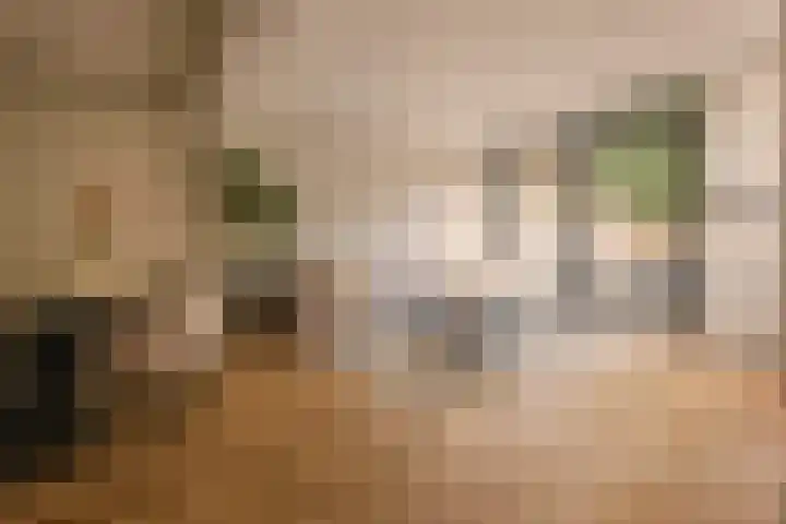 Albert Luthulistraat 15 A Amsterdam thumbnail 5