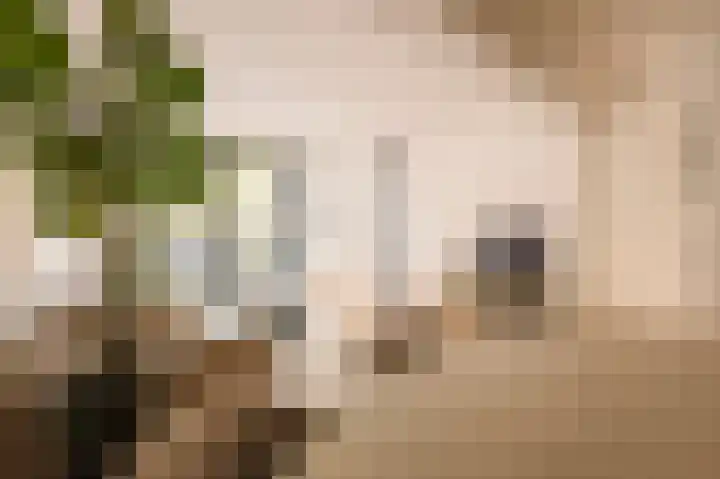 Albert Luthulistraat 15 A Amsterdam thumbnail 6
