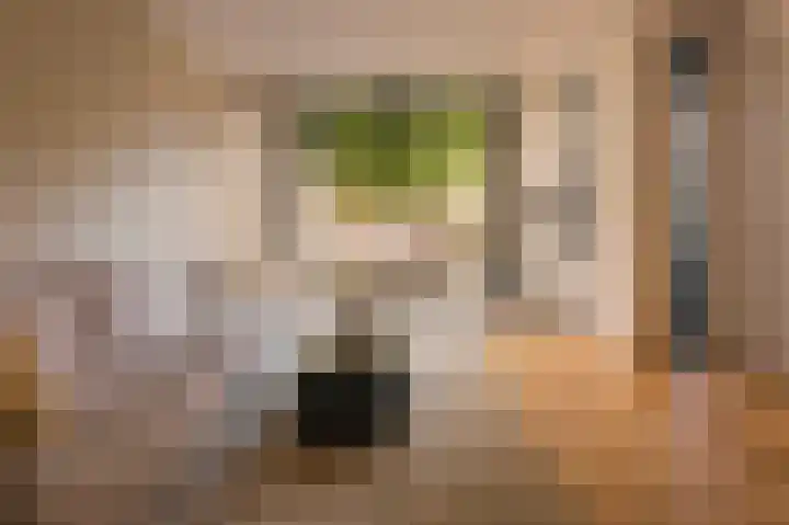 Albert Luthulistraat 15 A Amsterdam thumbnail 8
