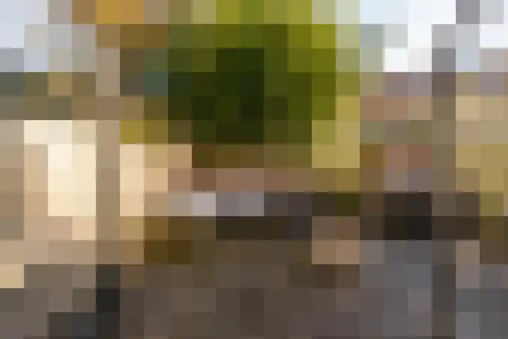 Albert Luthulistraat 15 A Amsterdam thumbnail 9