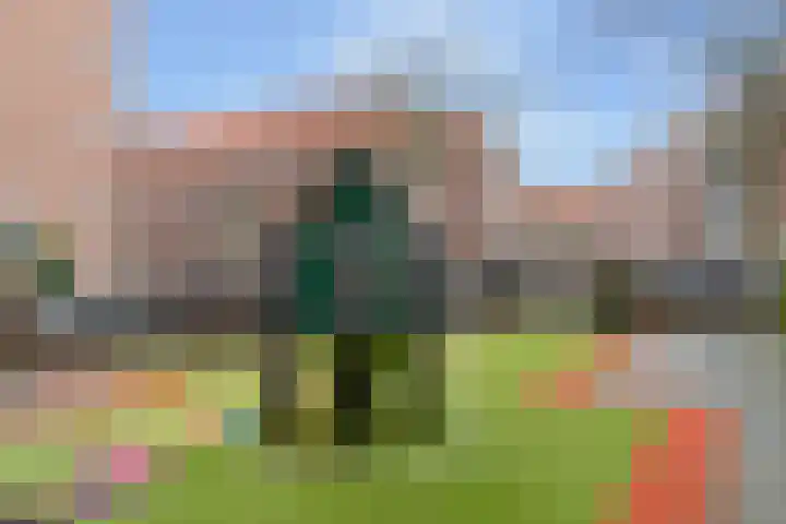Albert Luthulistraat 22 D Amsterdam thumbnail 22