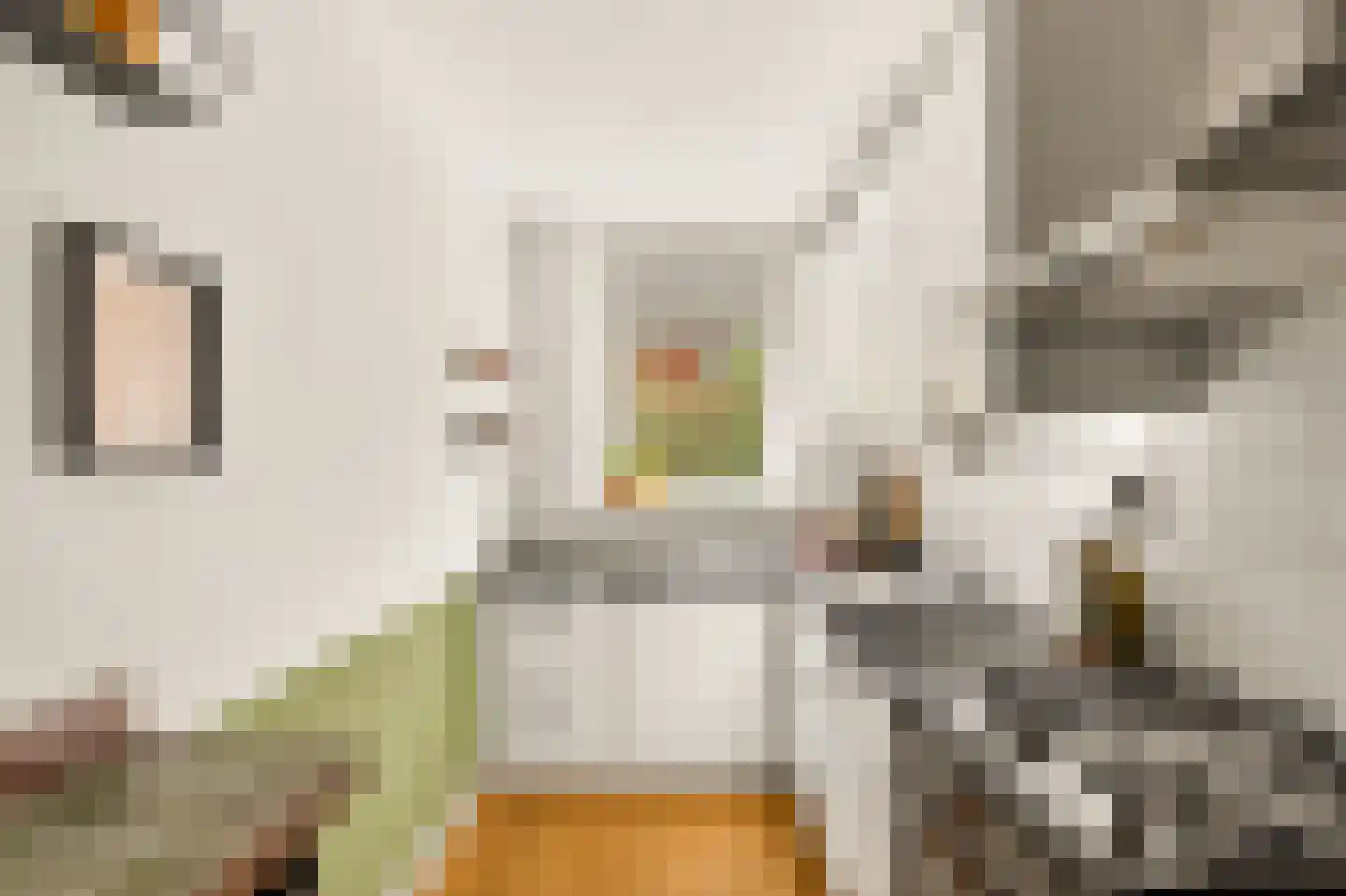 Albert Luthulistraat 23 B Amsterdam thumbnail 20