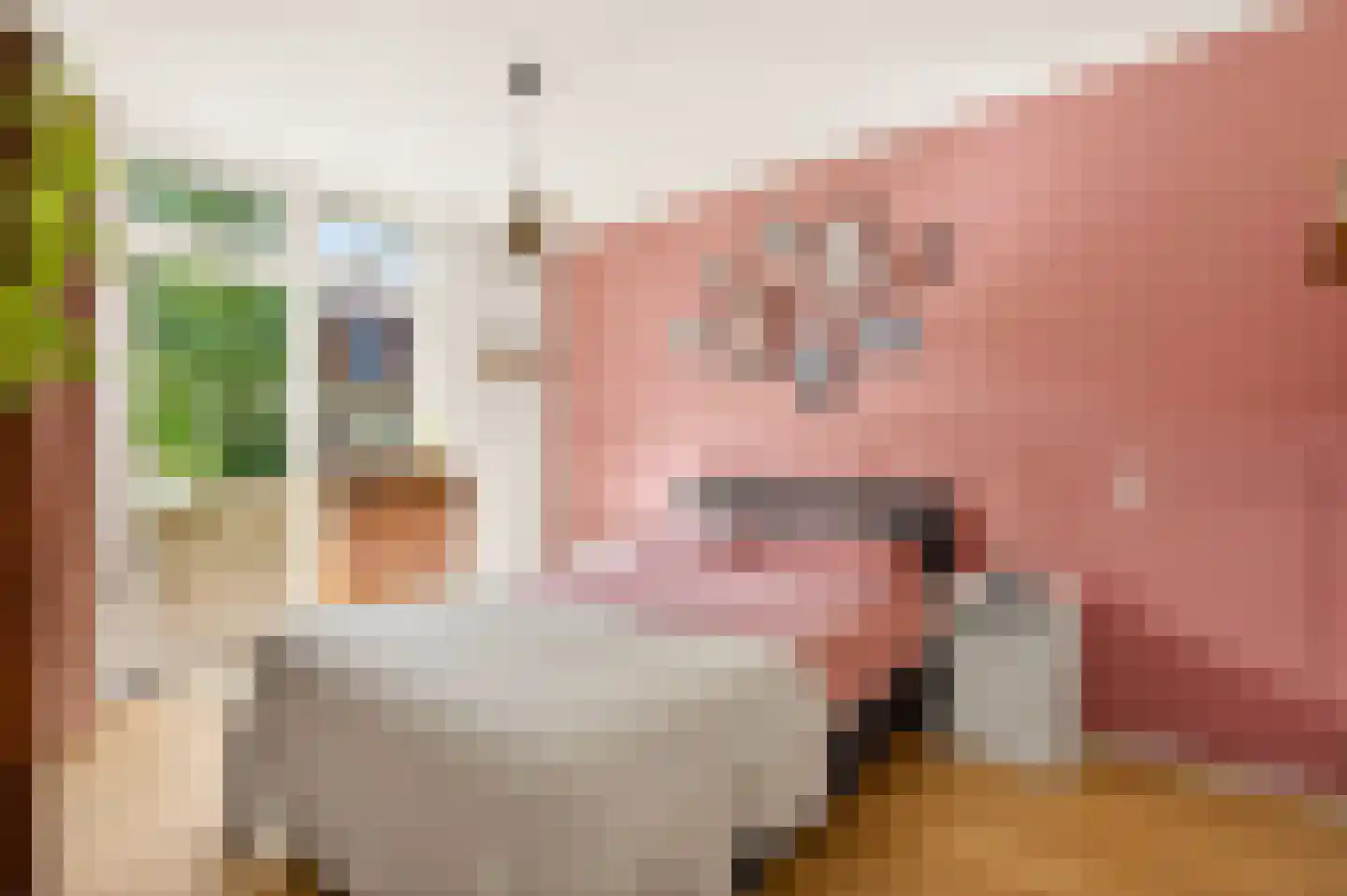 Albert Luthulistraat 23 B Amsterdam thumbnail 25