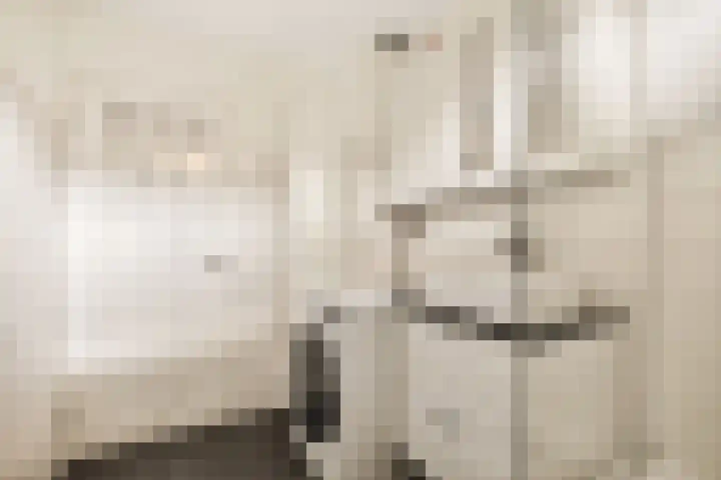 Albert Luthulistraat 23 B Amsterdam thumbnail 31