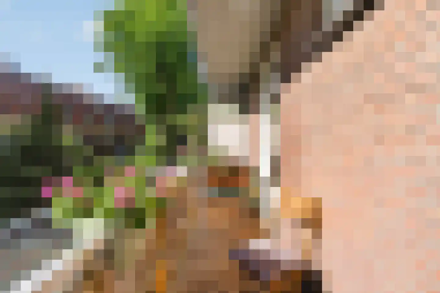 Albert Luthulistraat 23 B Amsterdam thumbnail 4