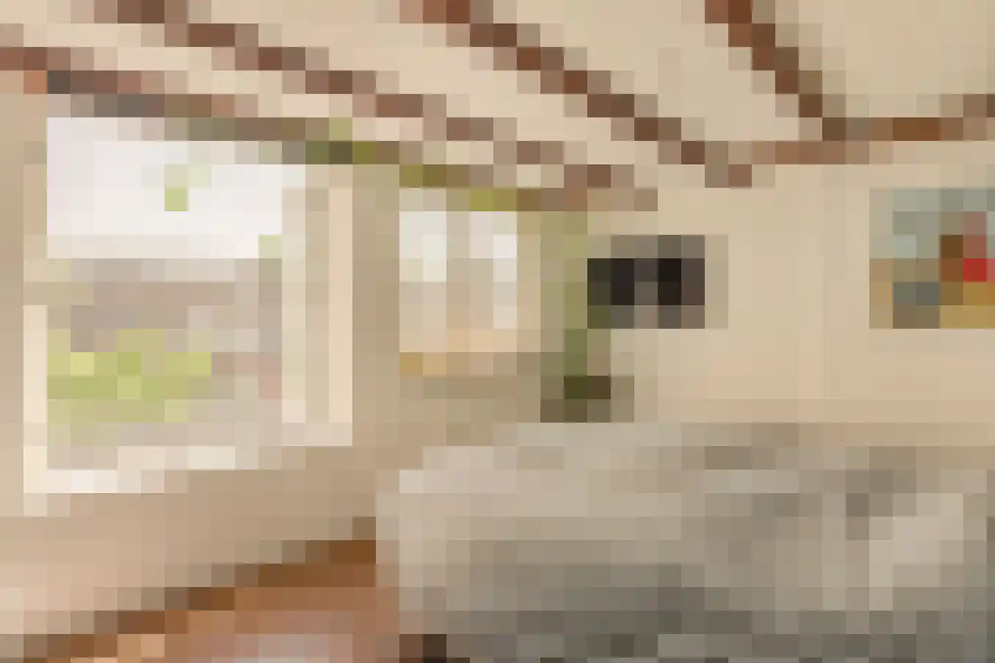 Albert Luthulistraat 24 D Amsterdam thumbnail 17