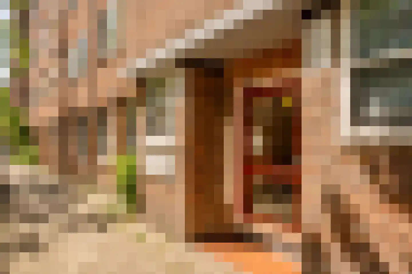 Albert Luthulistraat 24 D Amsterdam thumbnail 21