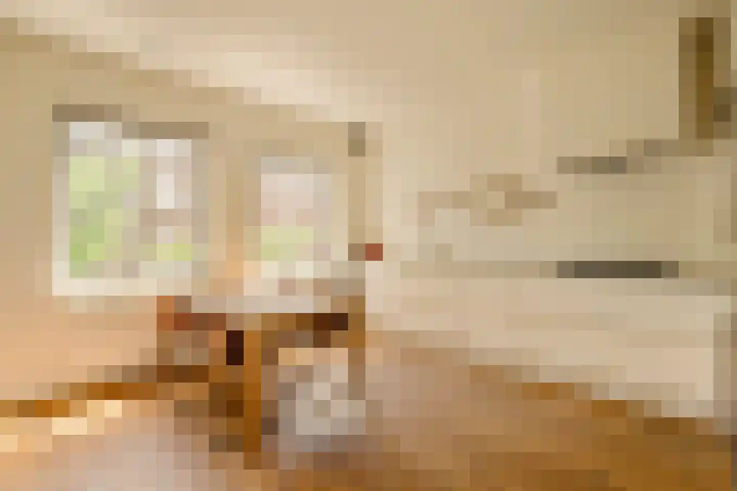 Albert Luthulistraat 24 D Amsterdam thumbnail 6
