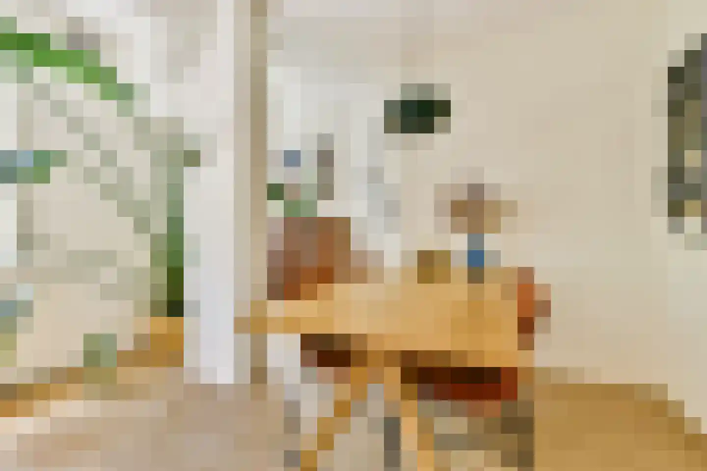 Albert Luthulistraat 26 C Amsterdam thumbnail 4
