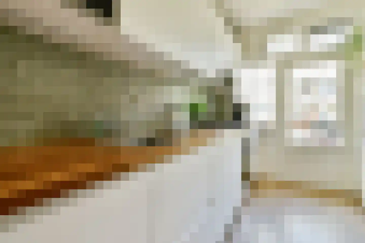 Albert Luthulistraat 26 C Amsterdam thumbnail 5