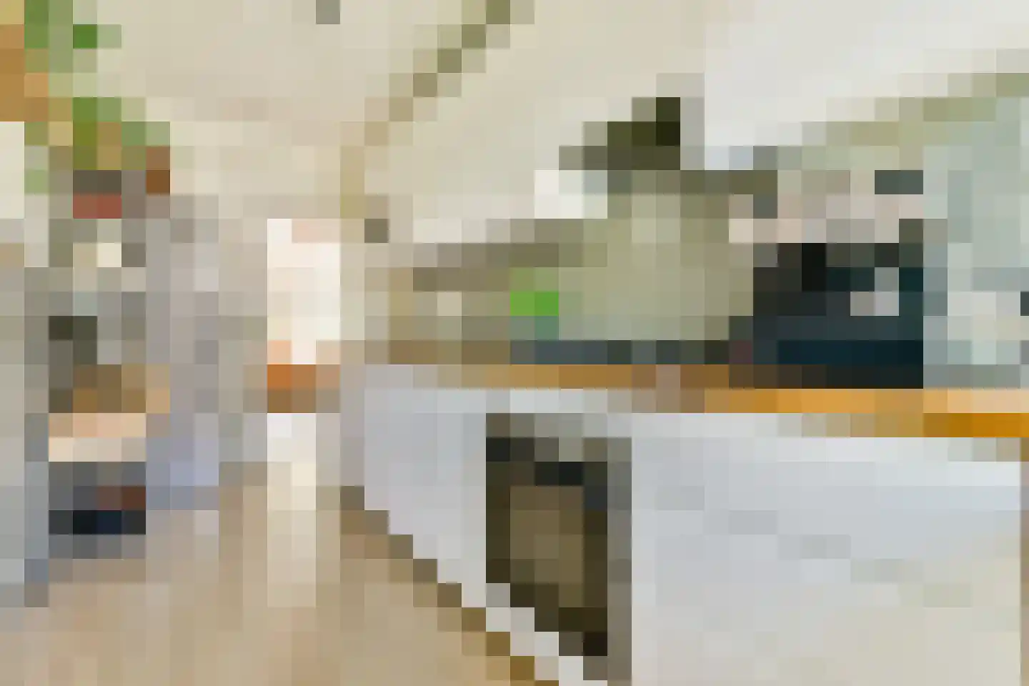 Albert Luthulistraat 26 C Amsterdam thumbnail 6