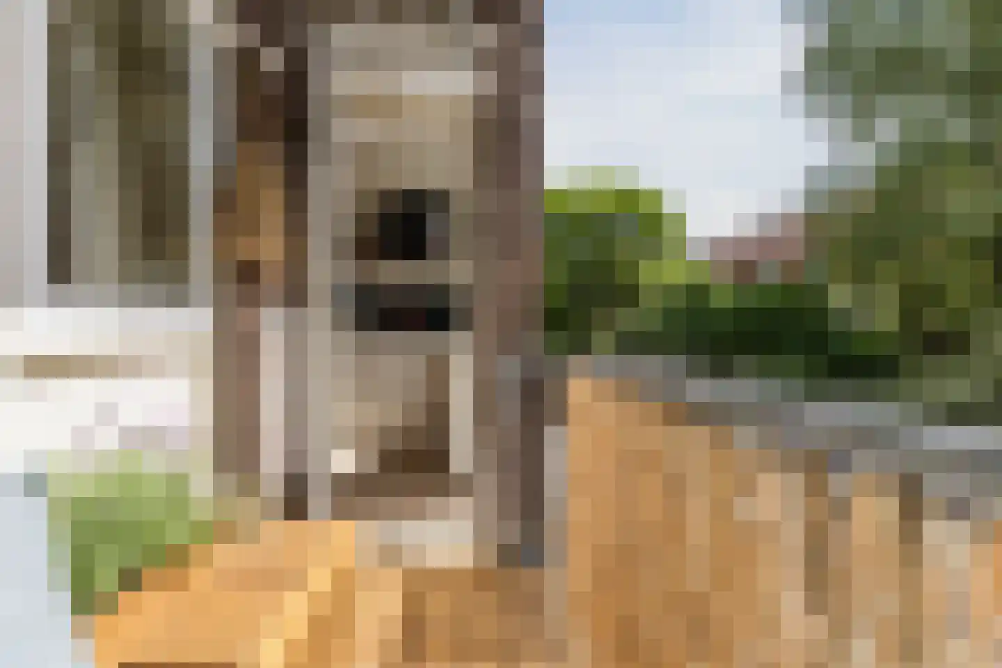 Albert Luthulistraat 27 C Amsterdam thumbnail 17