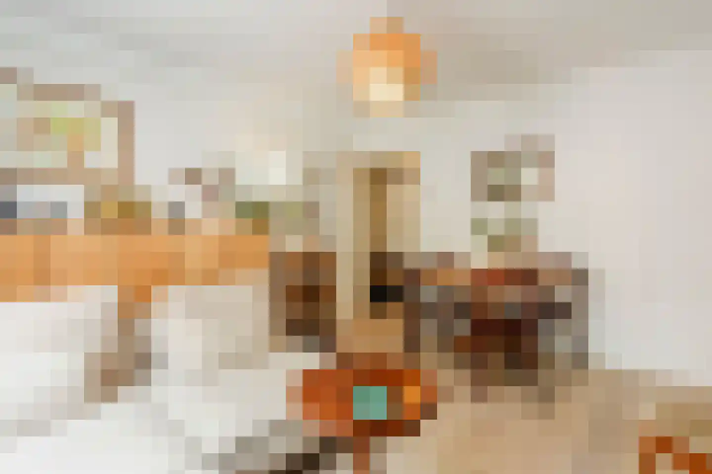 Albert Luthulistraat 27 C Amsterdam thumbnail 6