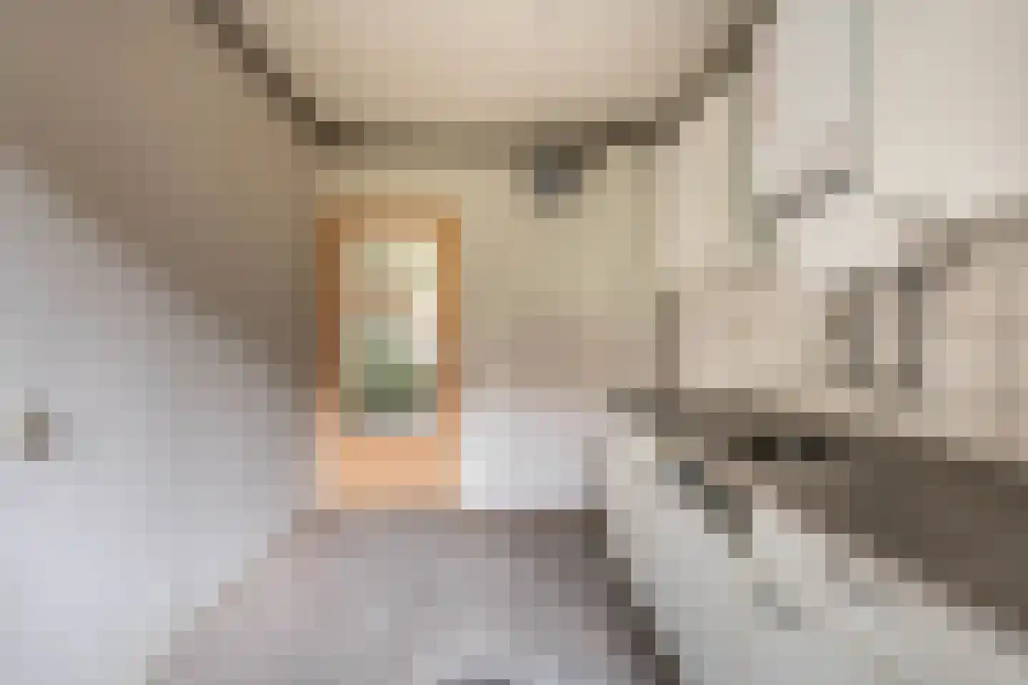 Albert Luthulistraat 29 A Amsterdam thumbnail 7