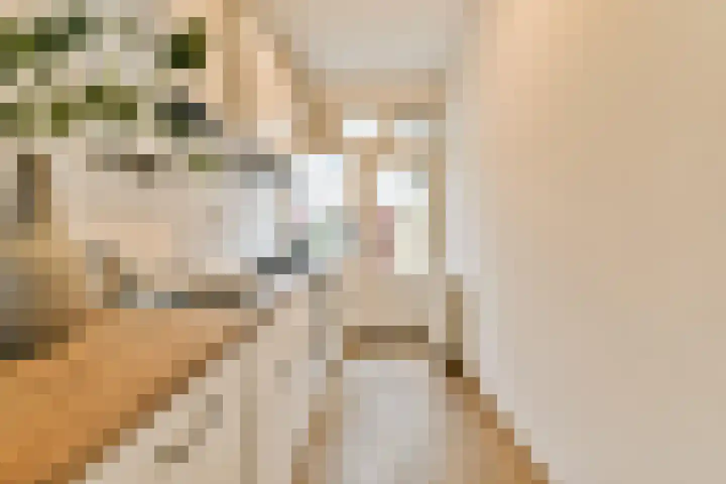 Albert Luthulistraat 30 A Amsterdam thumbnail 6