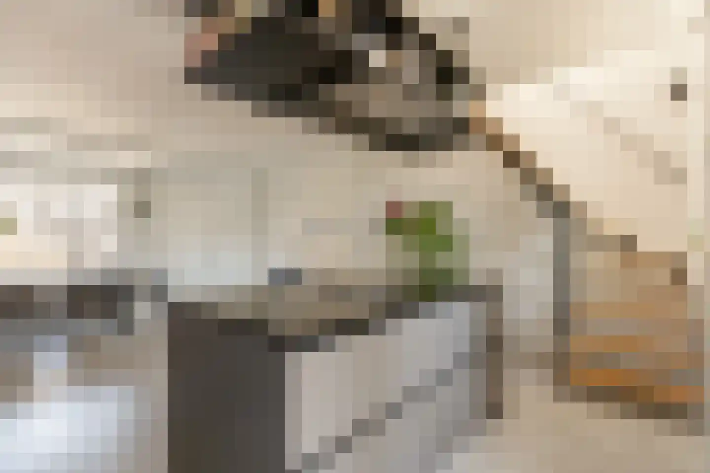 Albert Luthulistraat 31 D Amsterdam thumbnail 10
