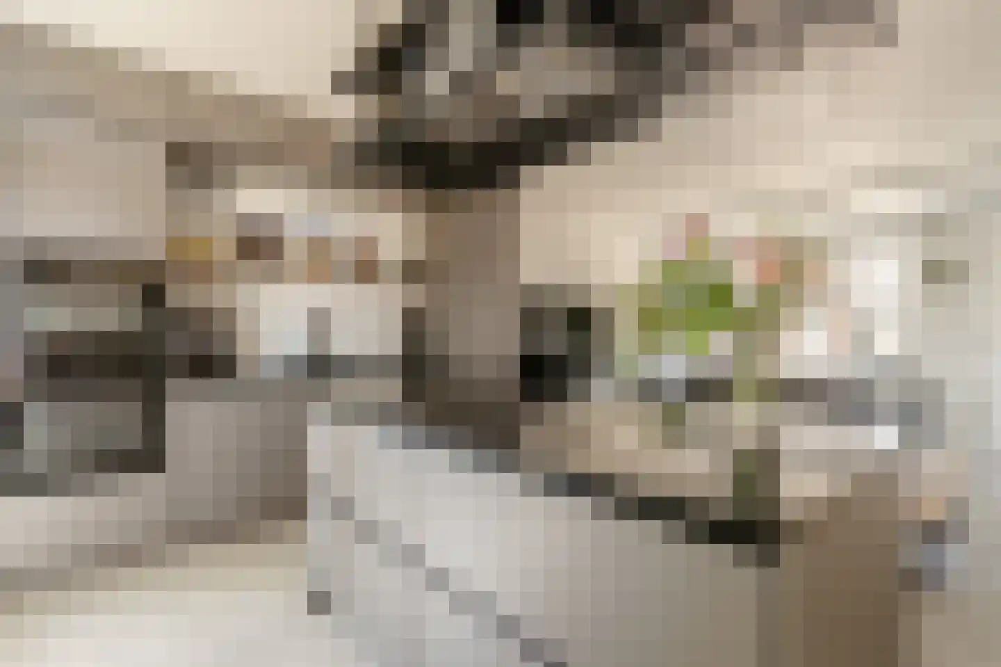 Albert Luthulistraat 31 D Amsterdam thumbnail 11
