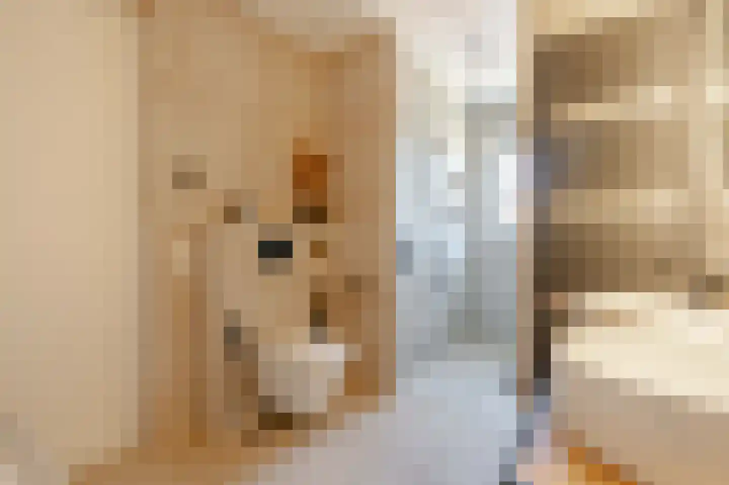 Albert Luthulistraat 31 D Amsterdam thumbnail 18