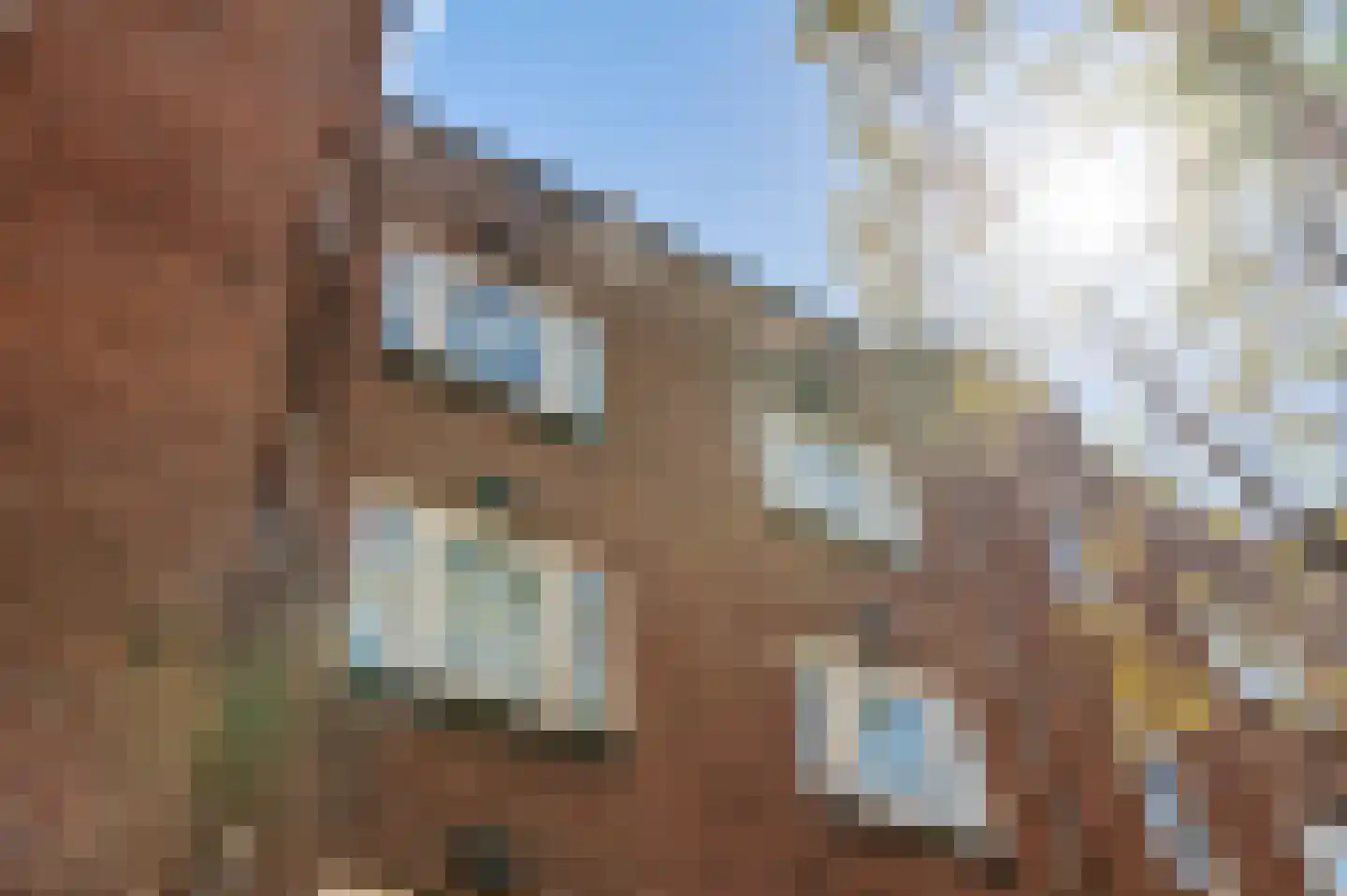 Albert Luthulistraat 31 D Amsterdam thumbnail 28