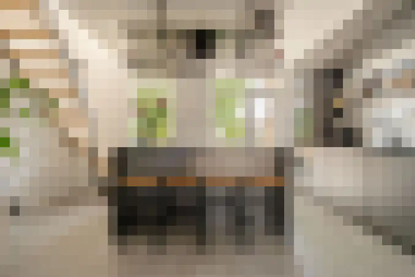 Albert Luthulistraat 31 D Amsterdam thumbnail 9