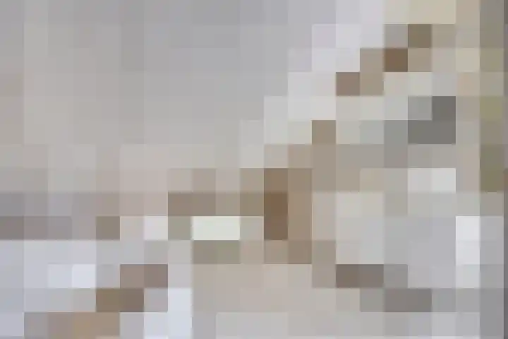 Albert Luthulistraat 6 Heerlen thumbnail 17