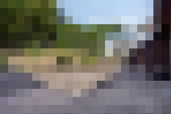 Albert Luthulistraat 6 Heerlen thumbnail 25