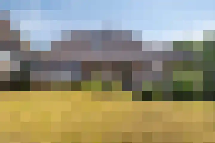 Albert Luthulistraat 6 Heerlen thumbnail 27