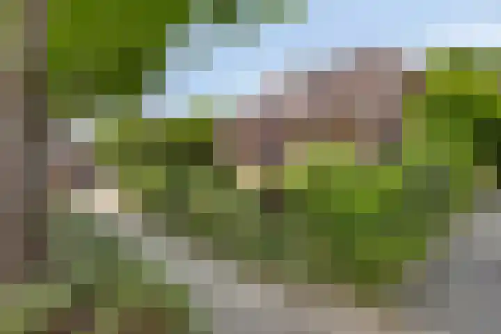 Albert Luthulistraat 6 Heerlen thumbnail 30