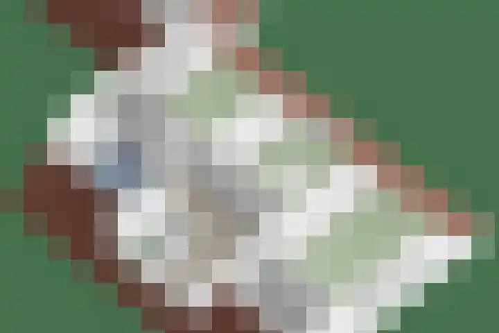 Albert Luthulistraat 6 Heerlen thumbnail 36