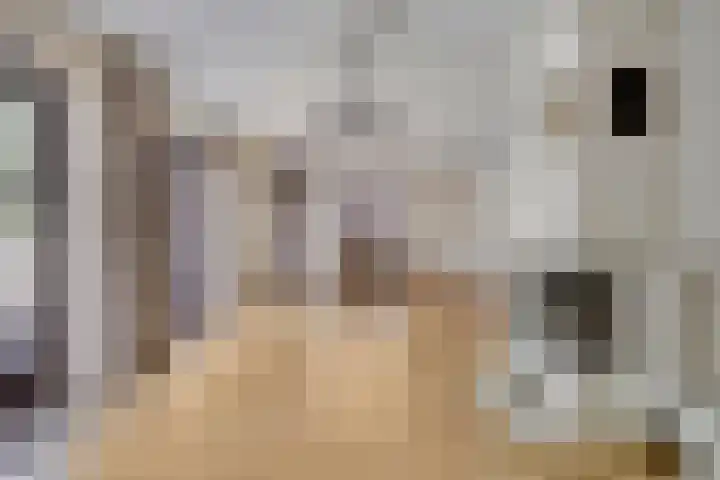 Albert Luthulistraat 6 Heerlen thumbnail 5