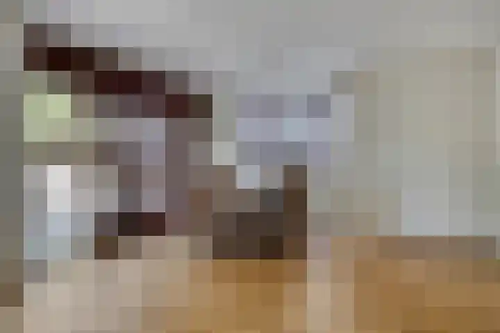 Albert Luthulistraat 6 Heerlen thumbnail 7