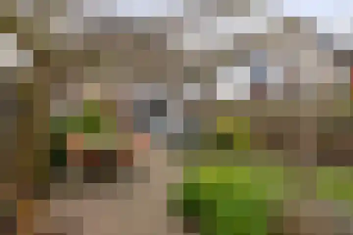 Albert Margrypad 12 Bergschenhoek thumbnail 22