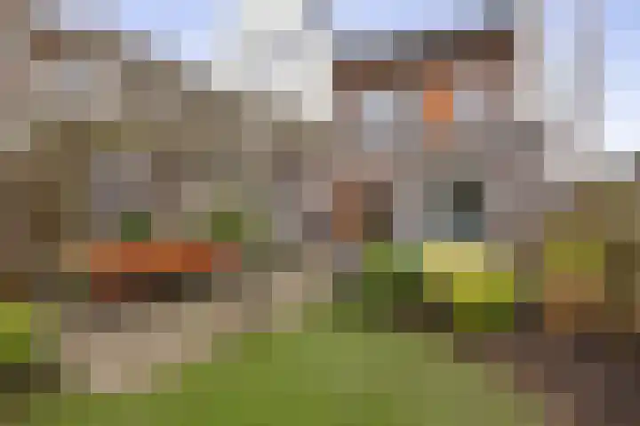 Albert Margrypad 12 Bergschenhoek thumbnail 23