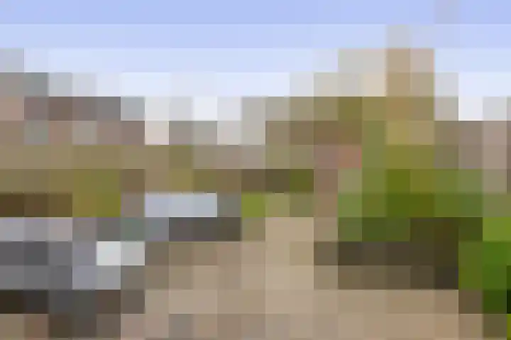 Albert Margrypad 12 Bergschenhoek thumbnail 25