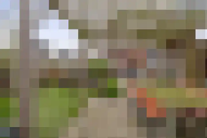 Albert Margrypad 12 Bergschenhoek thumbnail 26