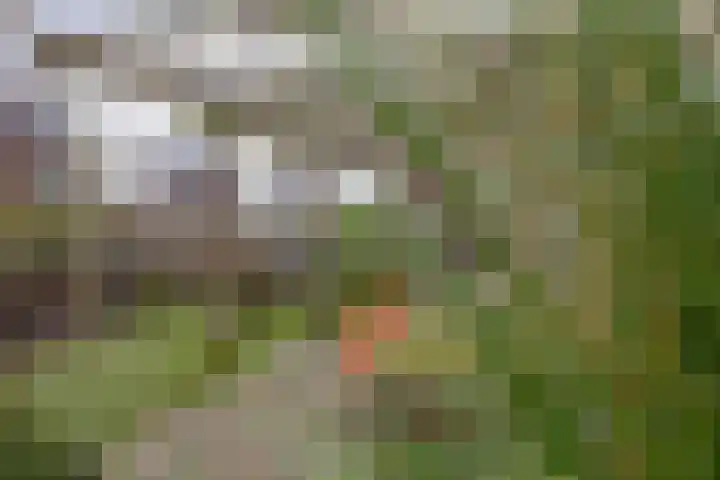 Albert Margrypad 12 Bergschenhoek thumbnail 27