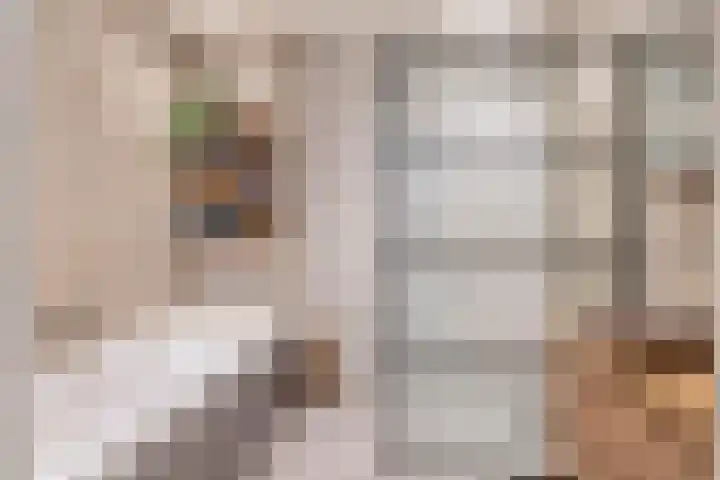 Albert Margrypad 12 Bergschenhoek thumbnail 33