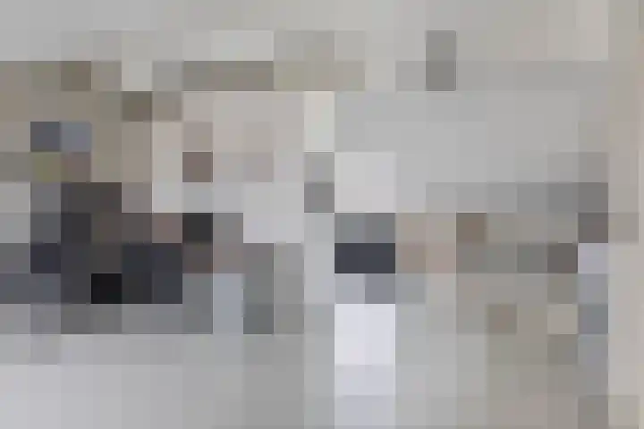 Albert Margrypad 12 Bergschenhoek thumbnail 36