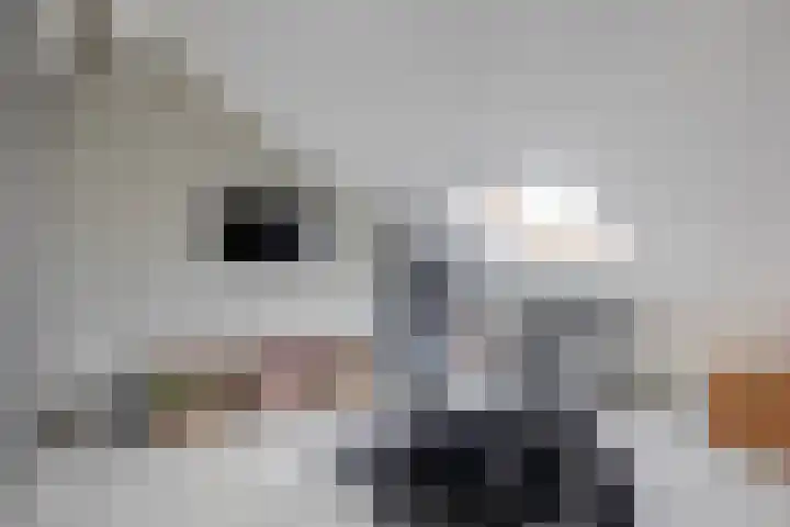 Albert Margrypad 12 Bergschenhoek thumbnail 38