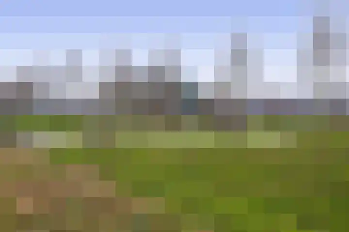 Albert Margrypad 12 Bergschenhoek thumbnail 39