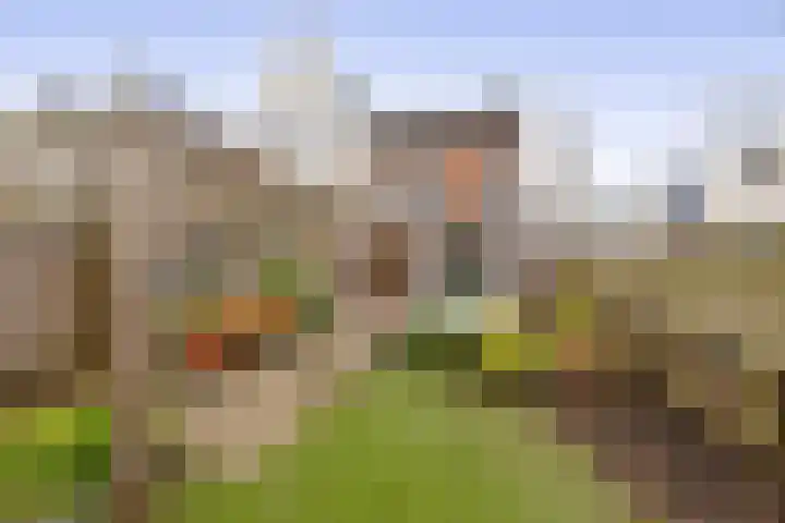 Albert Margrypad 12 Bergschenhoek thumbnail 4