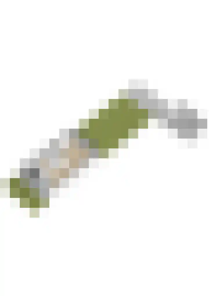Albert Margrypad 12 Bergschenhoek thumbnail 53