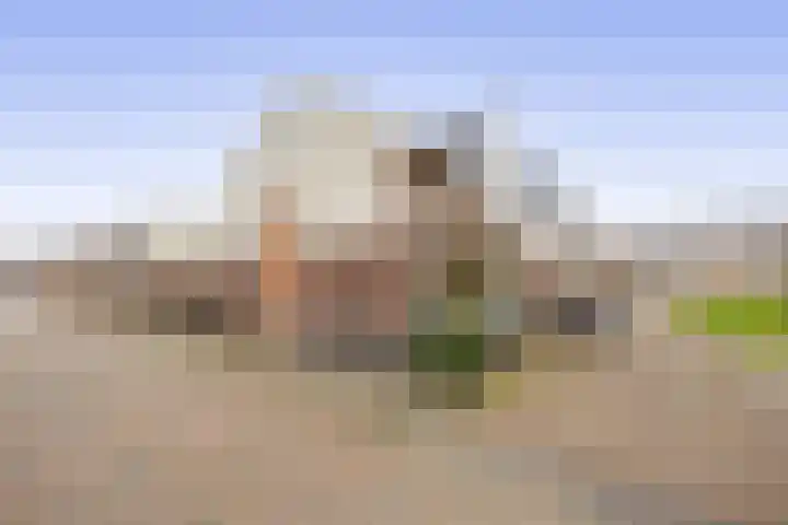 Albert Margrypad 12 Bergschenhoek thumbnail 6