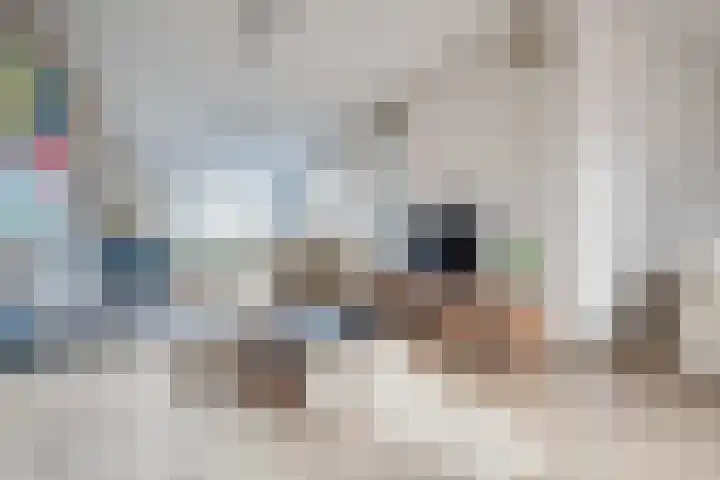 Albert Margrypad 4 Bergschenhoek thumbnail 16