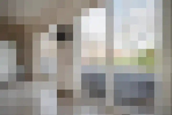 Albert Margrypad 4 Bergschenhoek thumbnail 20