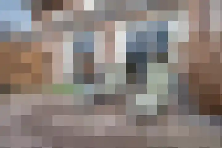 Albert Margrypad 4 Bergschenhoek thumbnail 30