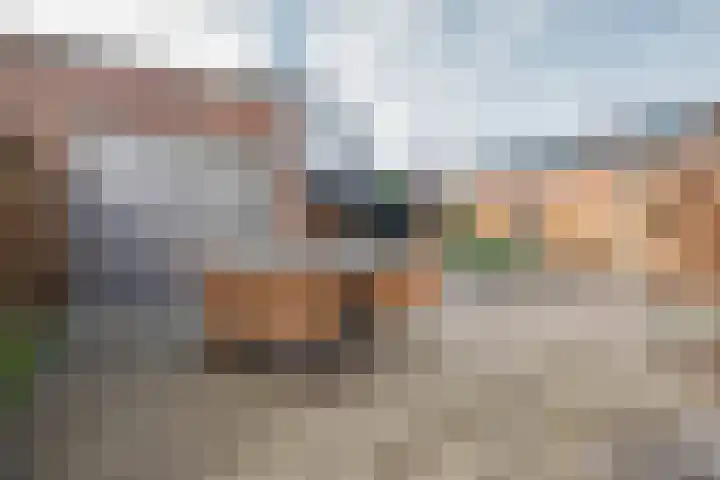 Albert Margrypad 4 Bergschenhoek thumbnail 31