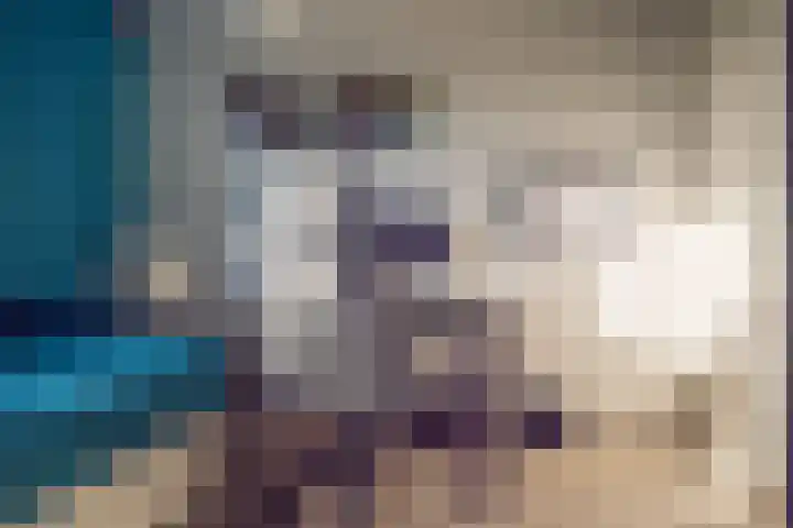 Albert Margrypad 4 Bergschenhoek thumbnail 35