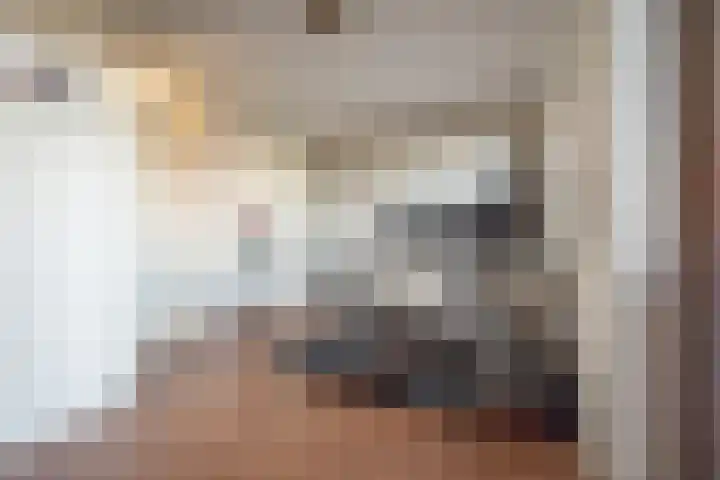 Albert Margrypad 4 Bergschenhoek thumbnail 44